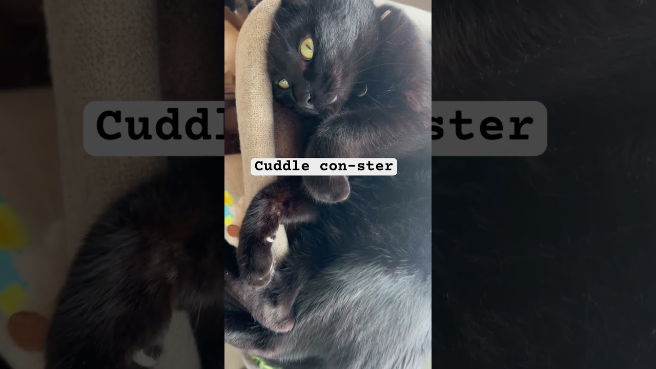 dangerous animal on planet😄 