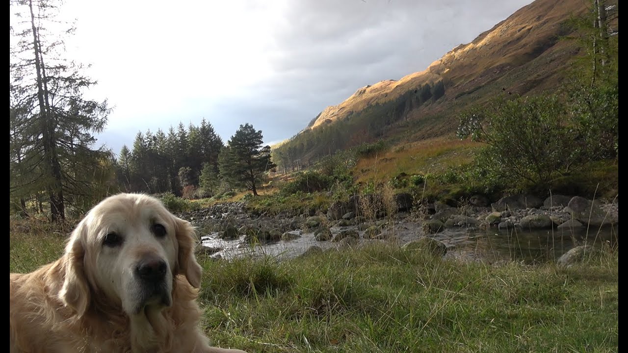 Slow Living in the Scottish Highlands