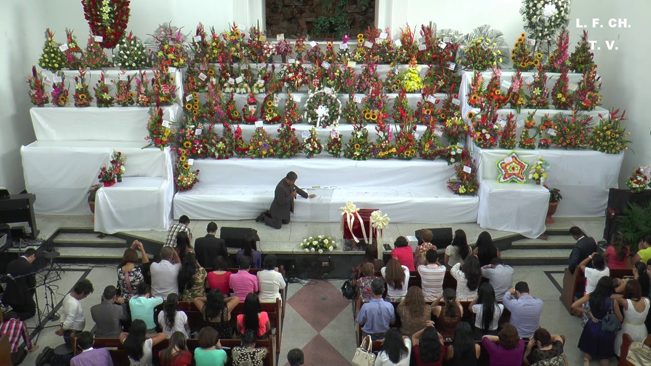 Pr. CARLOS  SALOME No.15 - HD