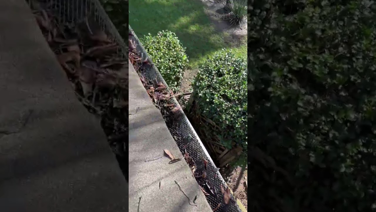 2026 TRANSFORMATIONS (FULL GUTTER CLEANING ) #allterraine #housewash #roofcleaning  #sacramento