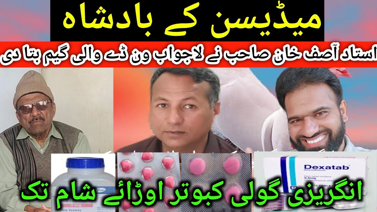 Kabutar Ke parwaz Wali Madison Goli|| दवा के साथ शानदार गोली || Kabootar Bazi Yazman #trending