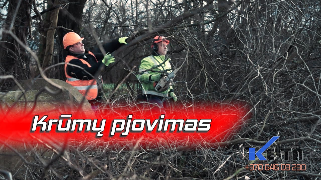 Krūmų Pjovimas, Medžių šalinimas kaip Pjauti krūmus Kelta