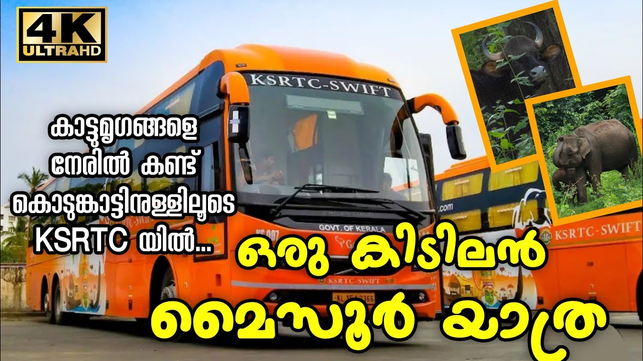 കൊടുംകാട്ടിലൂടെ KSRTC യിൽ മൈസൂർ യാത്ര | Mysore Trip Via Mudumalai Bandipur Tiger Reserve
