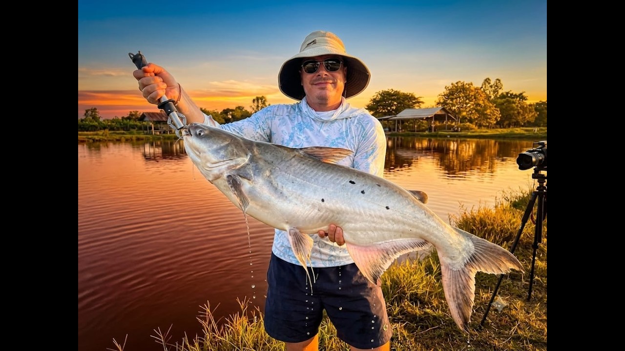 ROD BENDING Action! Giant Chaophraya Catfish
