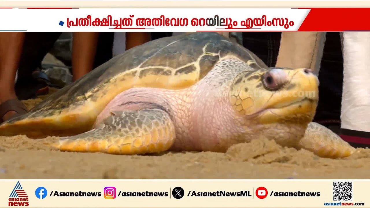കേരളം നിരാശയിലാണെങ്കിലും കേന്ദ്ര ബജറ്റിൽ ആമകൾ ഹാപ്പിയാണ്! | Union Budget 2026