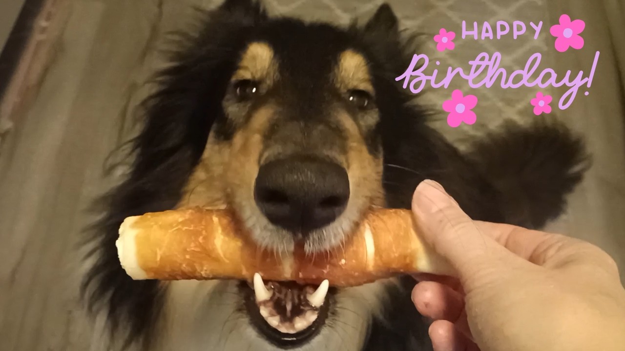 No ei nyt mennyt ihan putkeen | VLOG