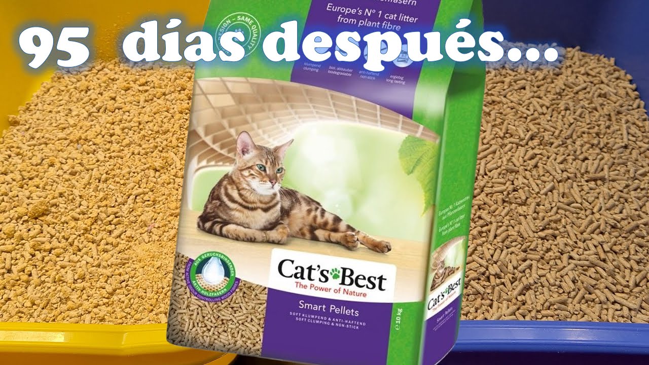 Comparando Cat's Best Smart Pellets después de 95 días (y abriendo una bolsa nueva de 10 kilos)
