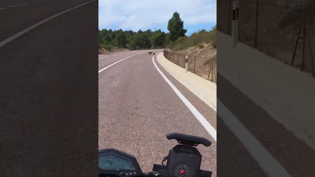 PELIGROS EN LA CARRETERA