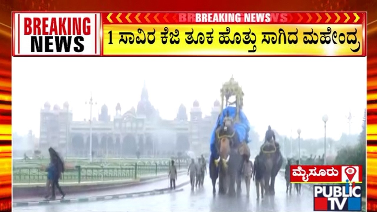 Weight Training For Mahendra Elephant Begins | Mysuru Dasara | Public TV