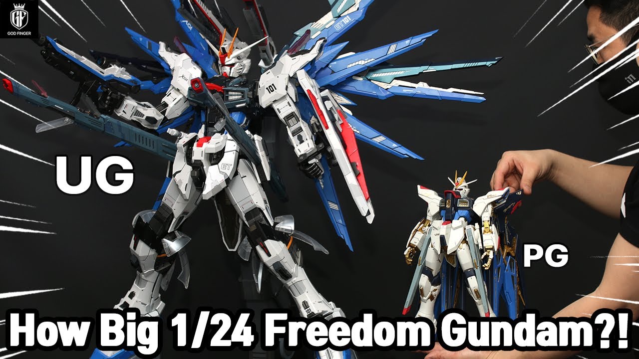 (Eng) How Big 1/24 Freedom Gundam!?🔥 전 세계에서 단 하나뿐인 1/24스케일 대형 프리덤 건담을 소개합니다!!