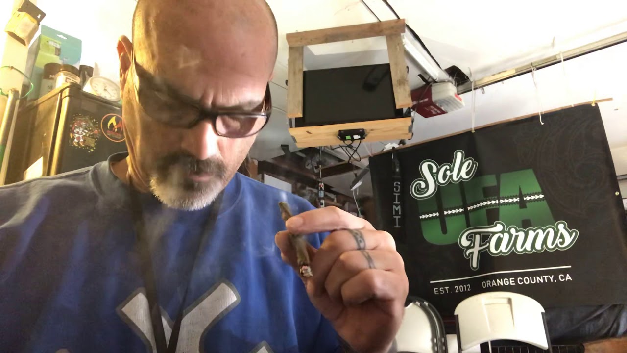 Blunt Bong