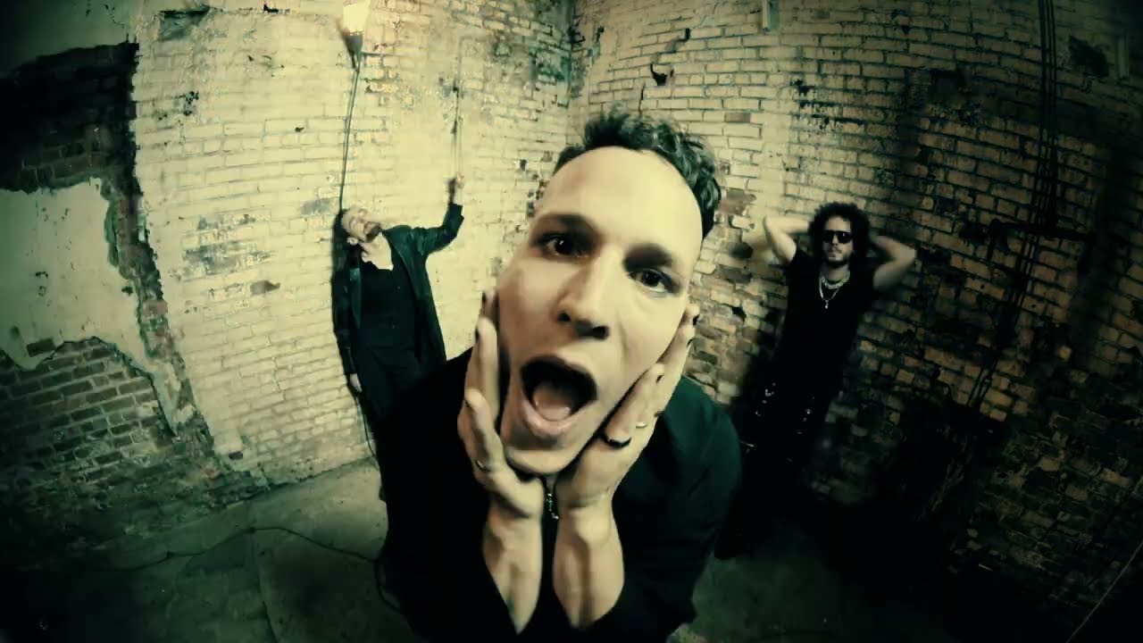 Added Color - Animal (Official Music Video)