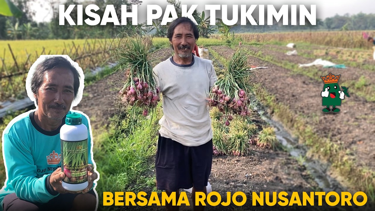 Dari Bibit Kecil Jadi Panen Besar? Ini Cerita Pak Tukimin!