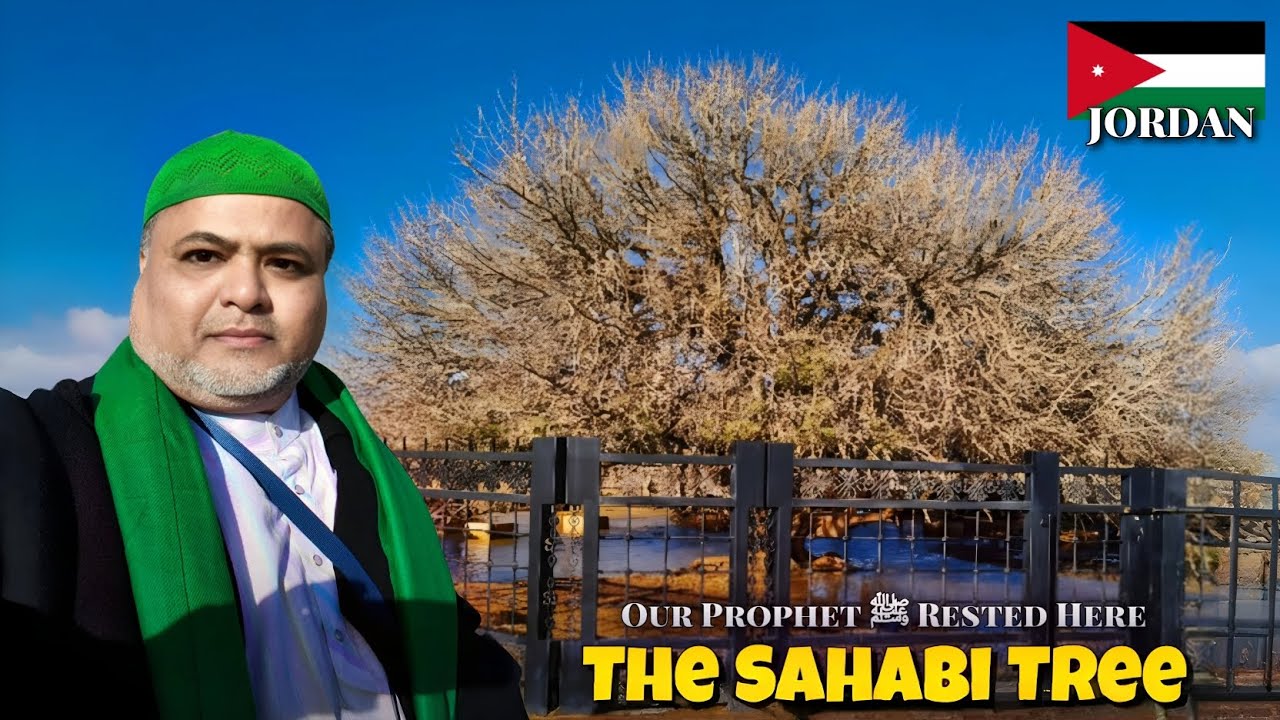 Our Prophet ﷺ Rested Here 🥹 || Sahabi Tree 🌳 || This Tree Is From Over 1600 years || Jordan Series 