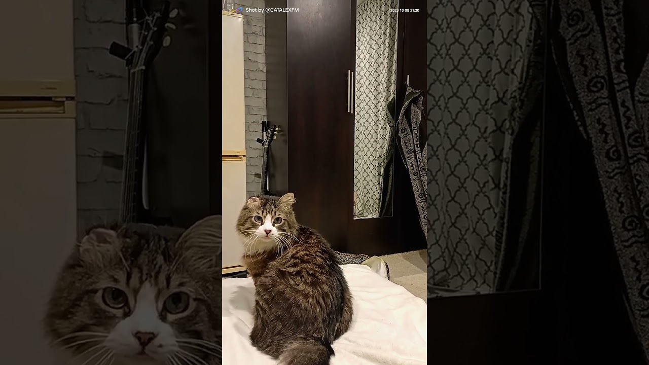разговор