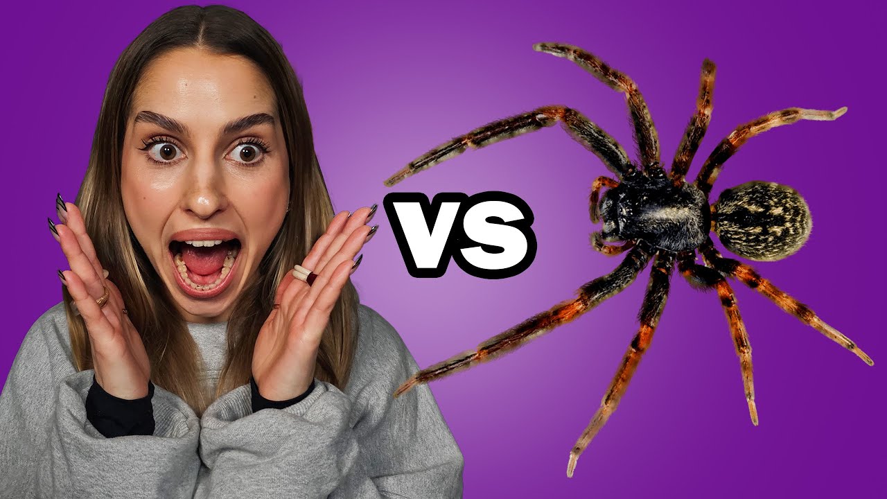DOOSIAAK vs. PAJĄKI! - Arachnochallange #2