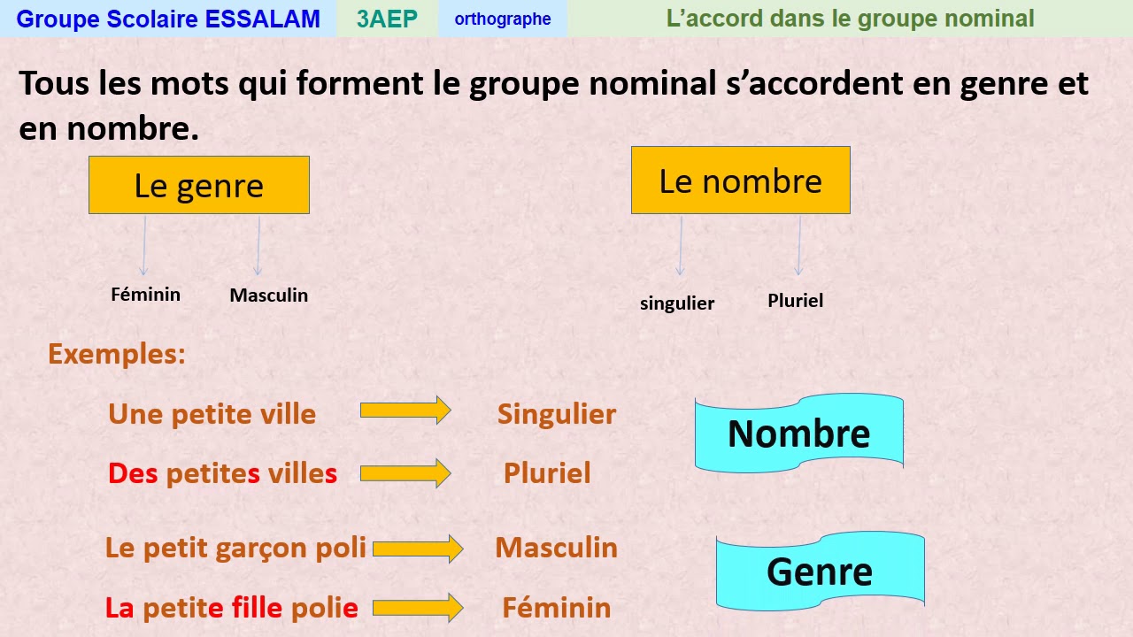 L'accord dans le groupe nominal - Orthographe - 3AP