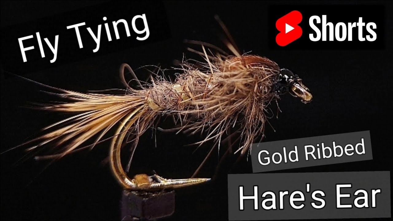 Fly Tying Short - Gold Ribbed Hare's Ear (G.R.H.E)