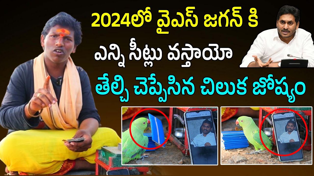 Parrot Astrology Prediction On CM Jagan 2024 Assembly seats | Chilaka Jyotsyam On Jagan| Mana Andhra