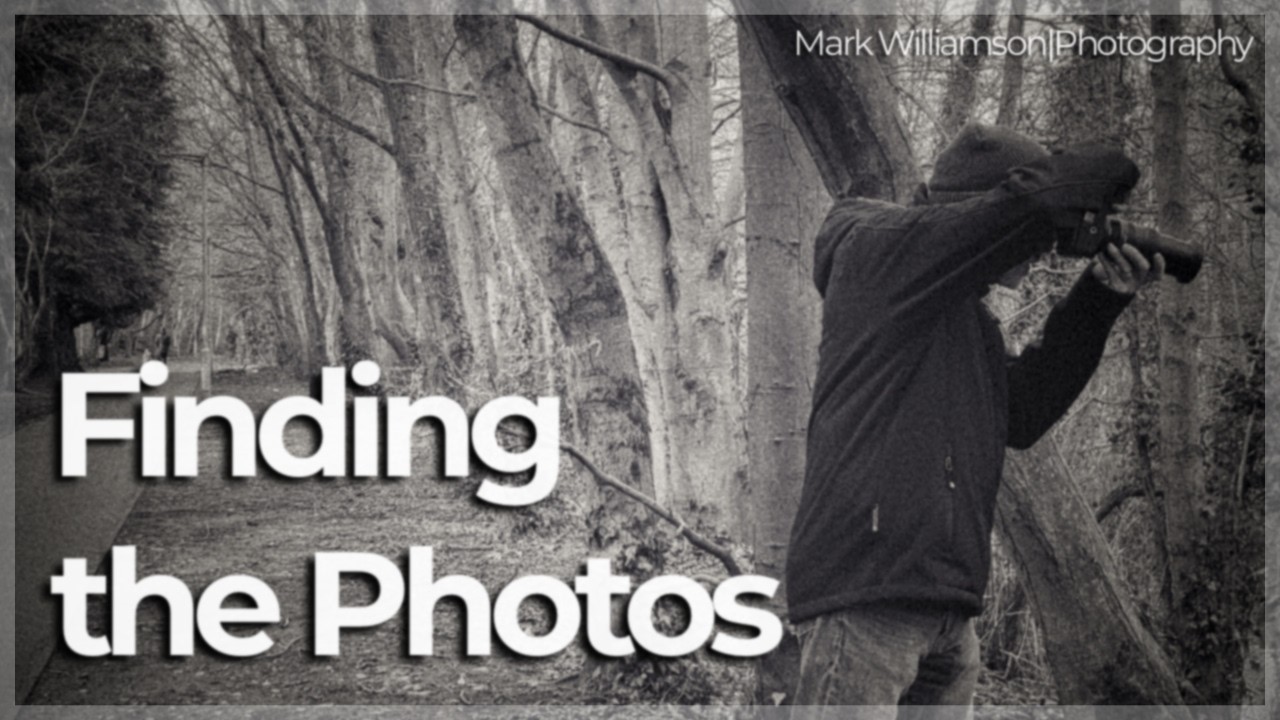 Can I Find What I'm Looking For..?