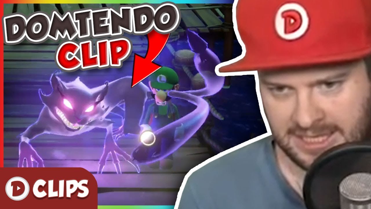 Domtendo entwickelt einen HASS auf KATZEN wegen NINTENDO! 😮 | Domtendo Clip