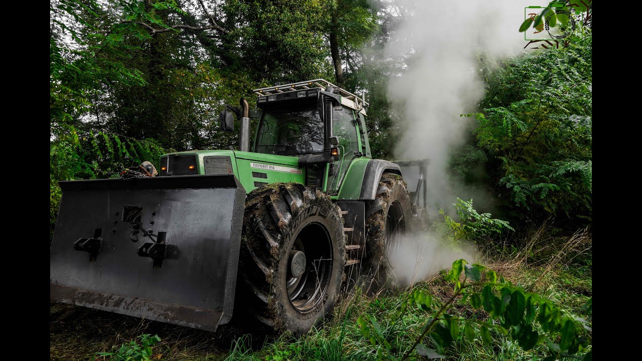Fendt Favorit 916/ FAE UMM/S 225 Mulcher/ Hecken Mulchen im Morgennebel [Motorsound]