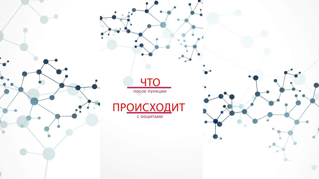 Что происходит после пункции ооцитов?