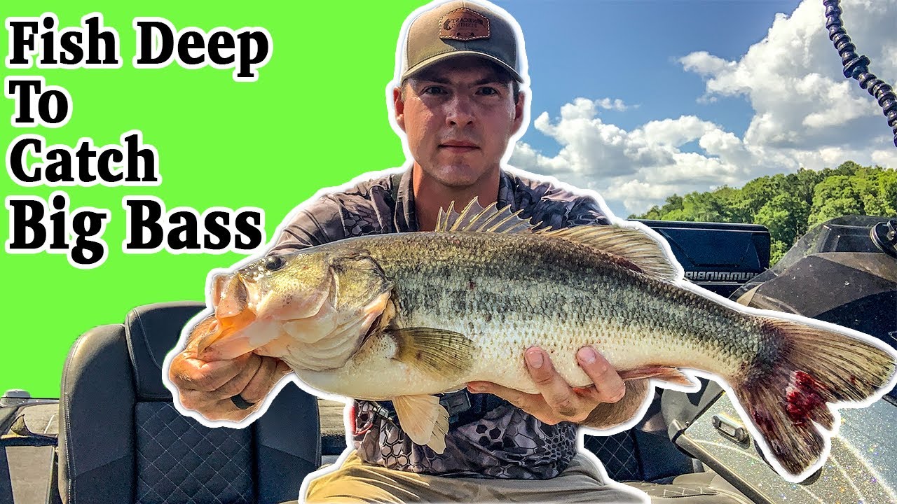 Offshore Summer Fishing -- Jordan Lake, NC
