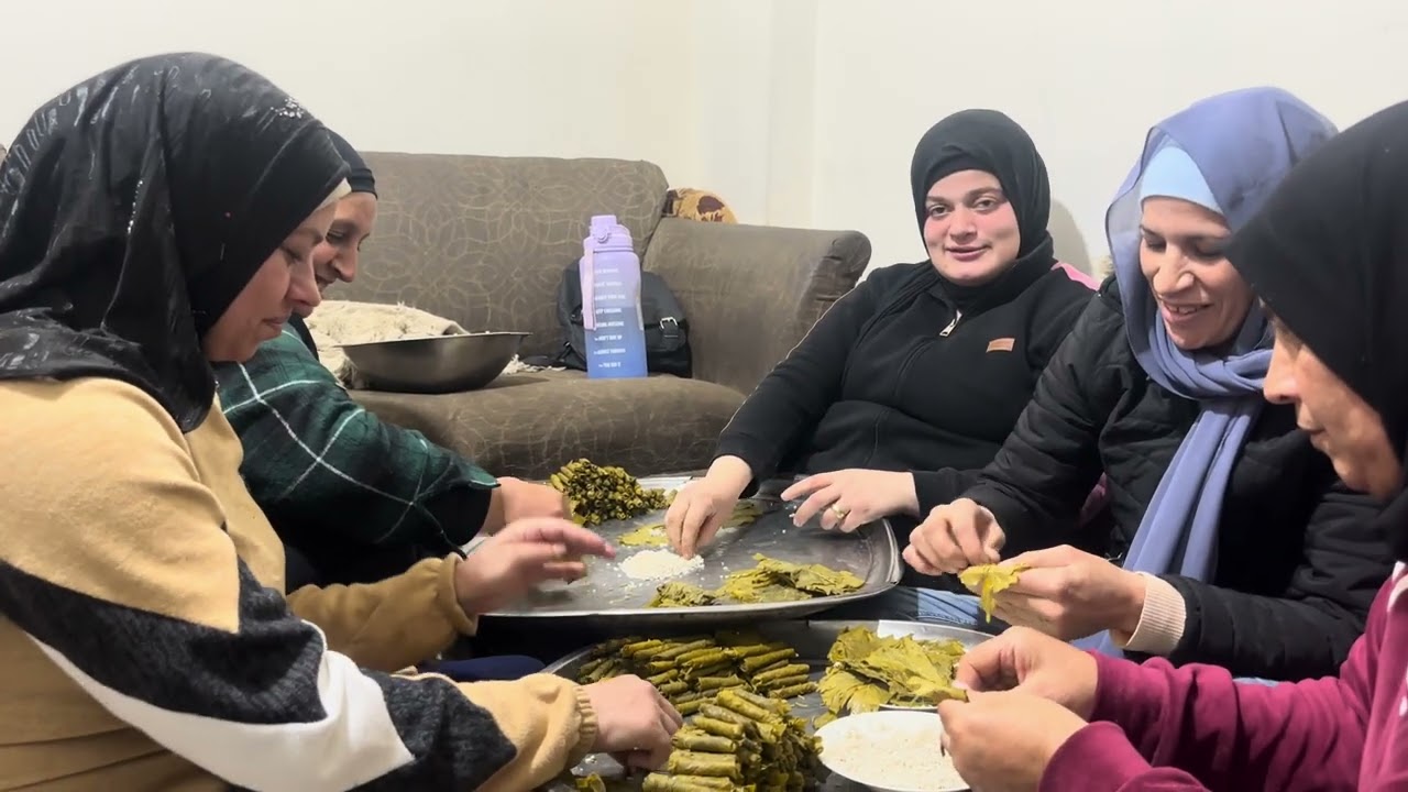أكبر طنجرة ورق عنب (عريش )🍇بأكبر تجمع عائلي 😊 توزيع الزيتون على أهالي القرية🌿