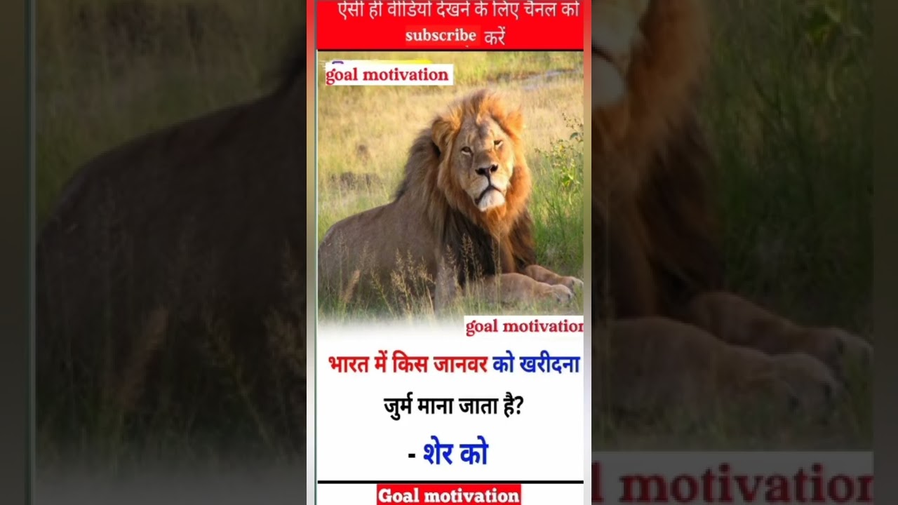 #upsc#sscgd#sscgl#mpsc#sscchs#motivation#bank#ips#pcs#ias#ifs#bpsc#short#motivation#goal#khansir#war