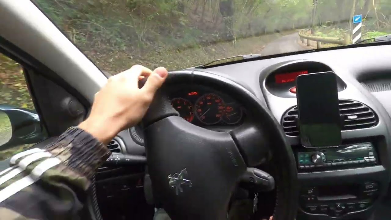 Peugeot 206 Rc