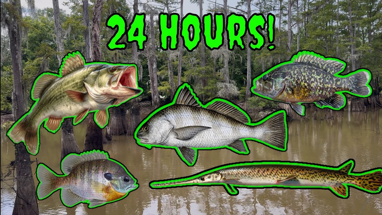 How Many Fish Species Can I Catch and Cook in ONE Day? (Fresh And Salt!)