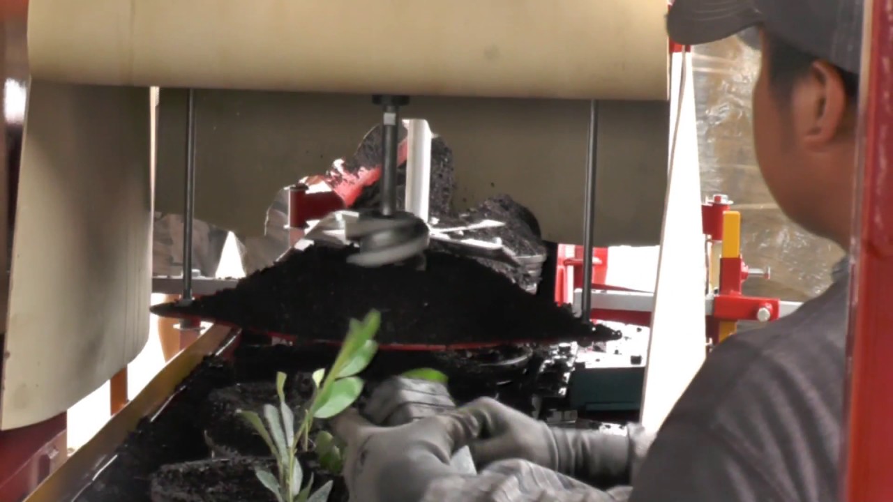 EZ Potter Bare Root Potting Machine - Three Rivers Nursery