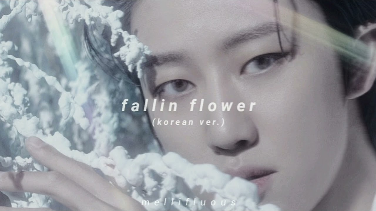 fallin flower (korean ver.) - SEVENTEEN // slowed + reverb + bass boosted