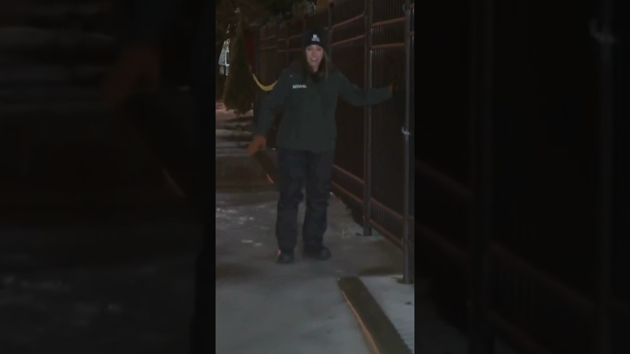 Ice storm freezes Portland roads, sidewalks