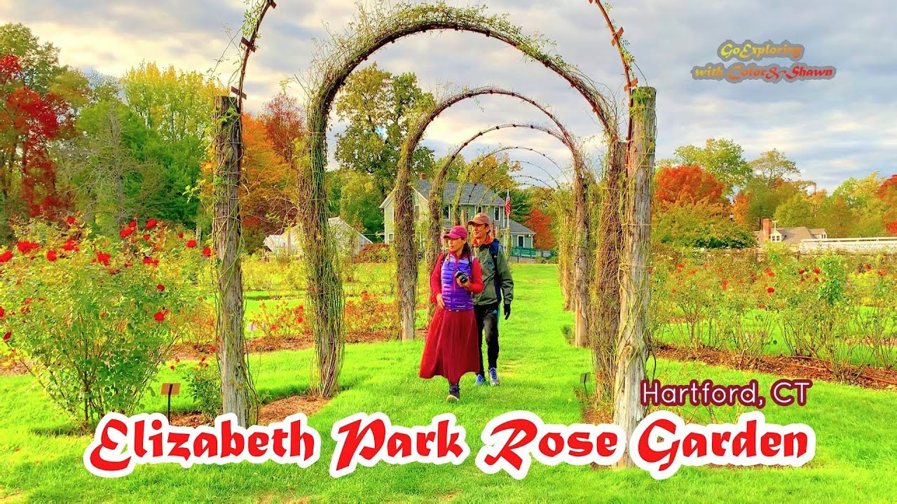 Elizabeth Park Rose Garden, Hartford, CT |America’s Oldest public Rose Garden |康州伊丽莎白玫瑰园-美国最古老的公共玫瑰园