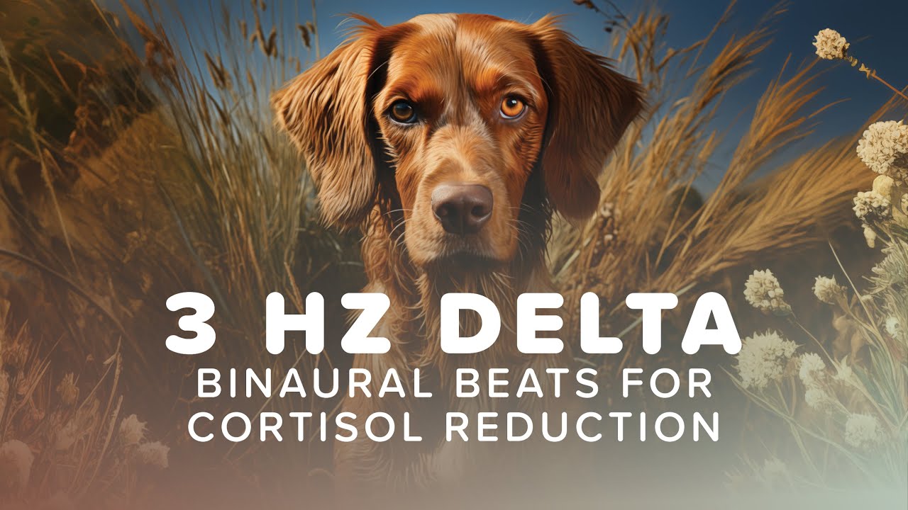 Cortisol Reduction | 3 Hz Delta | Dog Spirit Animal