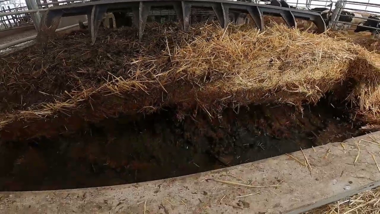 Hauling manure