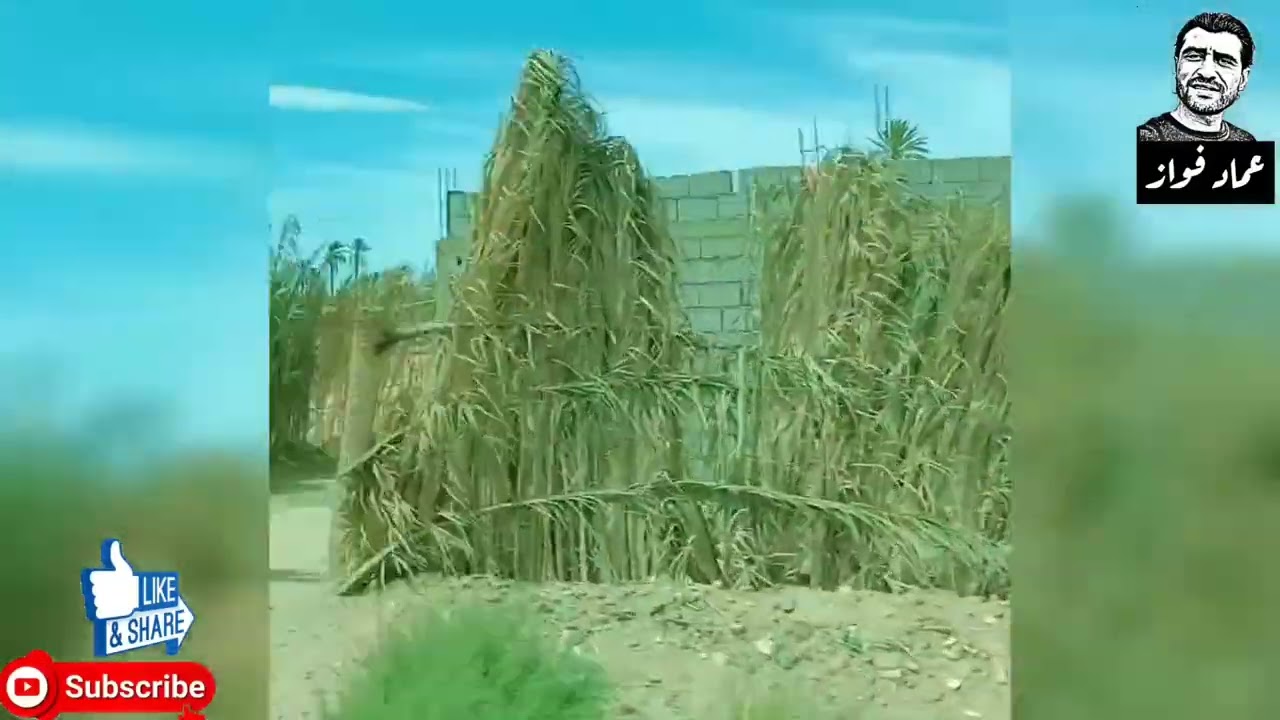 گلميم.. بوابة الصحراء واحات خلابة.. روعة ما بعدها روعة