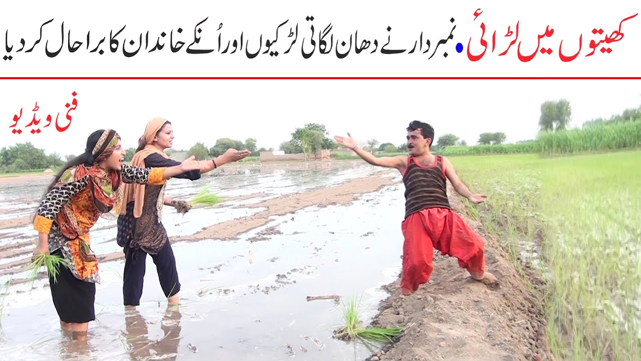 Number Daar Khait Mein Larai Funny | New Top Funny | Must Watch Top New Comedy Video 2021 |You Tv