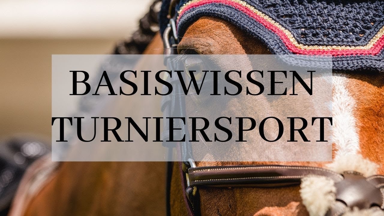 Basiswissen Turniersport: LPO, WBO, Formulare und NeOn