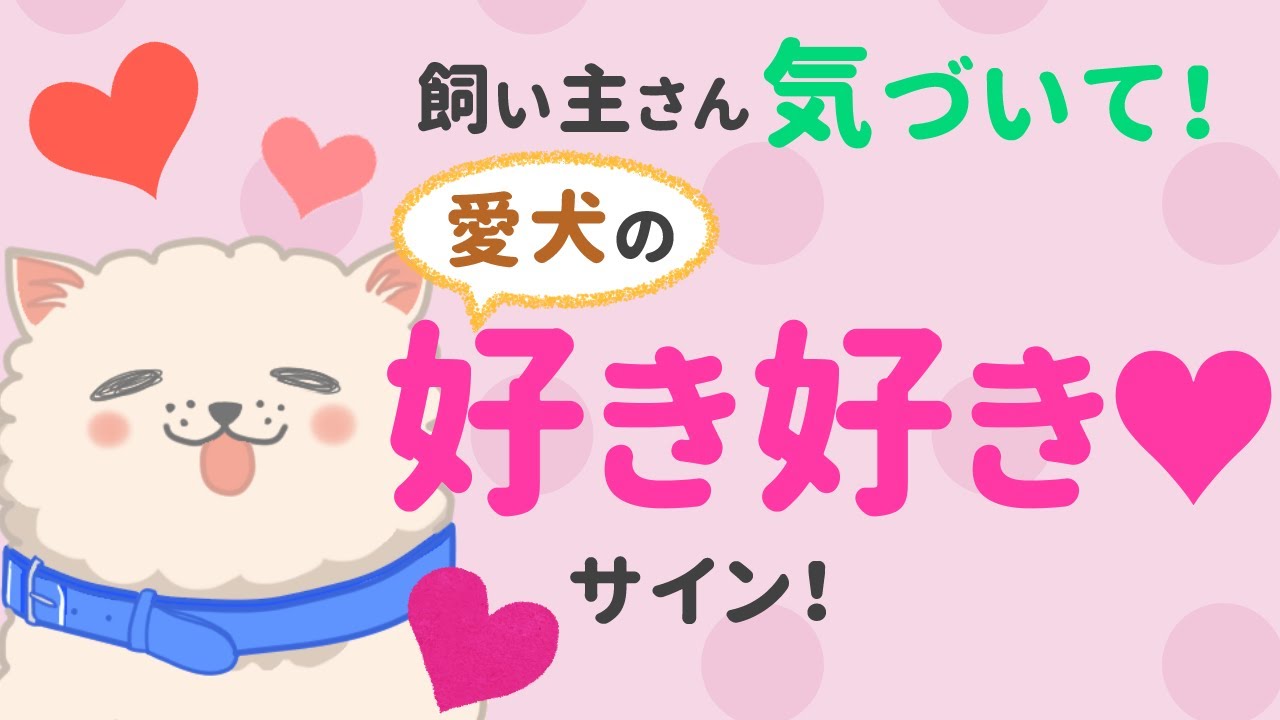 飼い主さん大好き！犬が好きな人に見せる9つの愛情表現