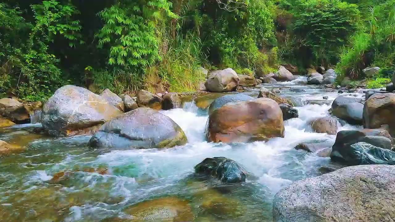 Forest River Sound ASMR for Calm Mind and Relaxation