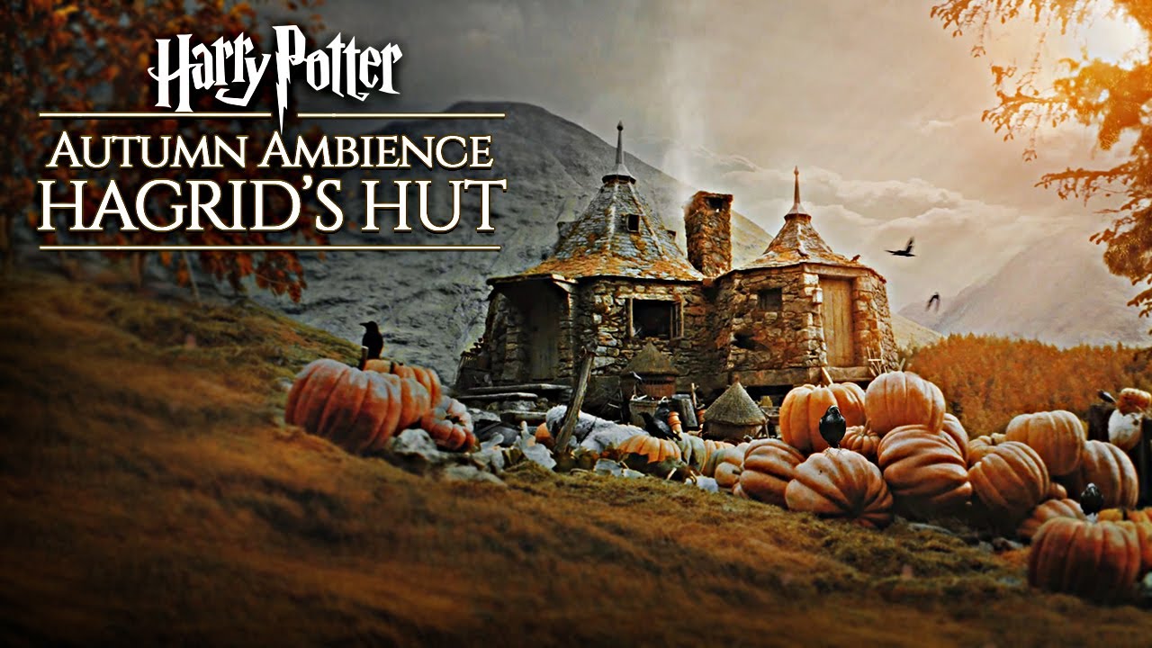 Hogwarts Autumn 🍂 Hagrid's Hut ◈ Harry Potter inspired Ambience / Falling Leaves + Rain showers