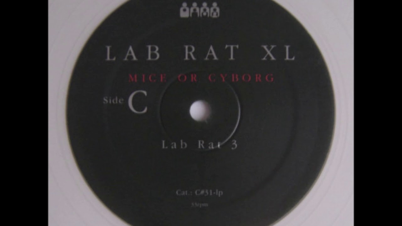 Lab Rat XL - Lab Rat 3
