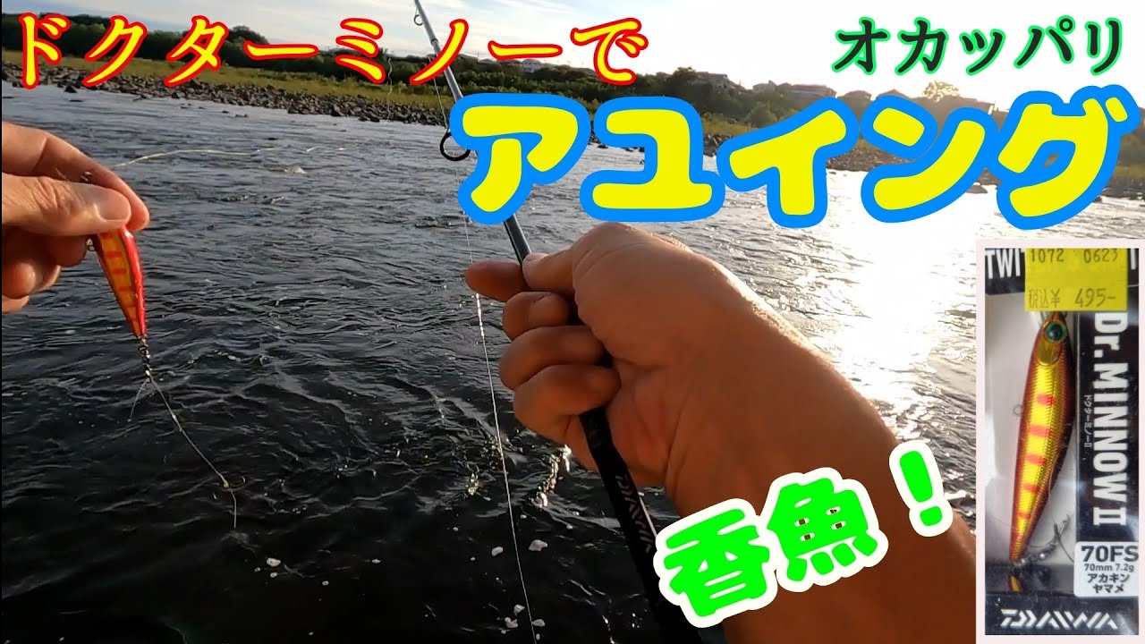 【利根川】「Daiwaドクターミノーでアユイング（オカッパリ）」◎鮎/香魚（コンギョ♪!?）/友釣り/オトリアユ/アユルアー/ルアーフィッシング