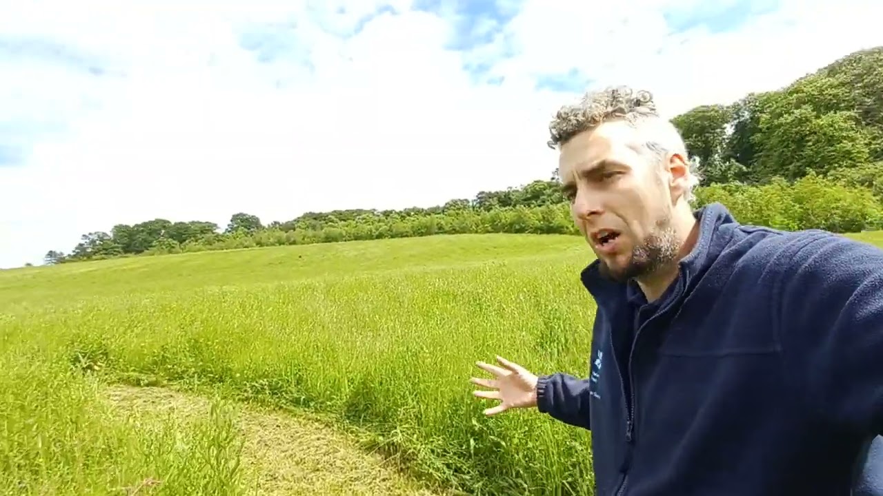 Dander in the meadow #rangerlife