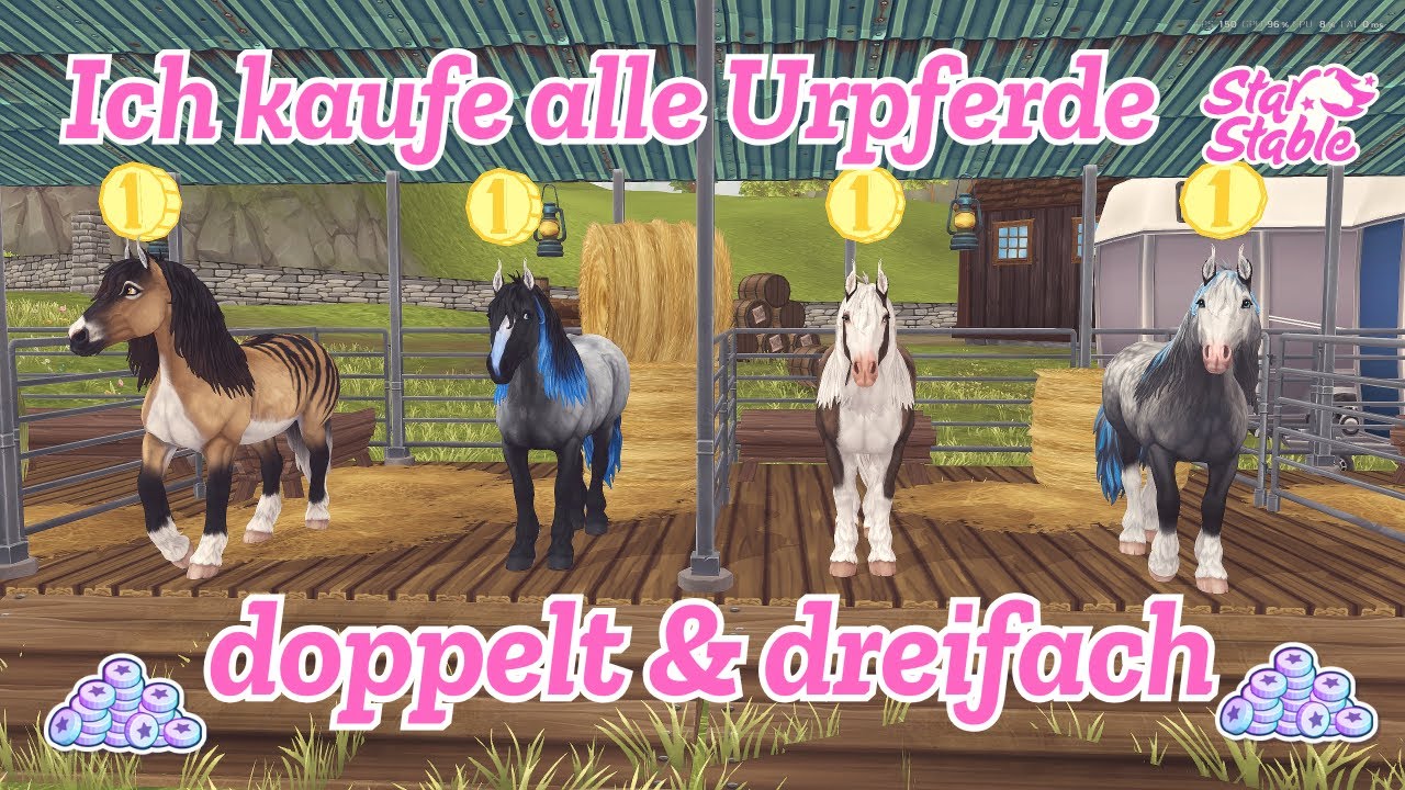 SSO 🐴Völlig verrückt! Ich kaufe alle Urpferde doppelt & dreifach