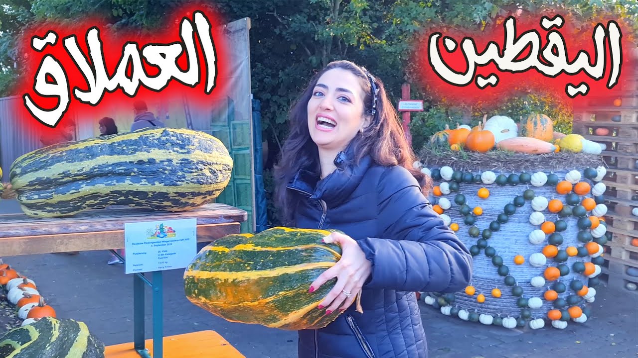 أكبر يقطينة في العالم فازت فيها ألمانيا!