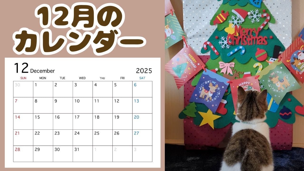 カレンダー用写真を撮られる猫